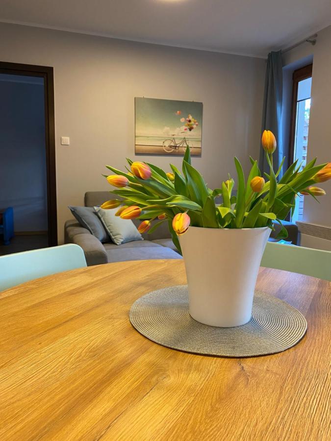Balticpark Stegna Apartment Stegna (Pomerania)